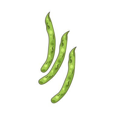 Yeşil fasulye, taze yenen veya pişirilen ince ve yenilebilir bir bitkidir..