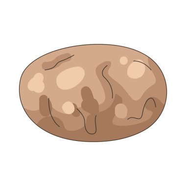 Patates çeşitli yemeklerde kullanılan nişastalı bir yumru..