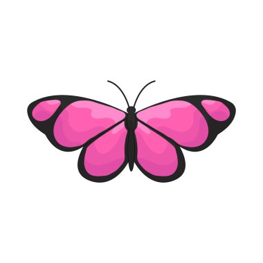 Kelebek, dönüşümü ve güzelliği simgeleyen renkli kanatları olan narin bir böcektir..