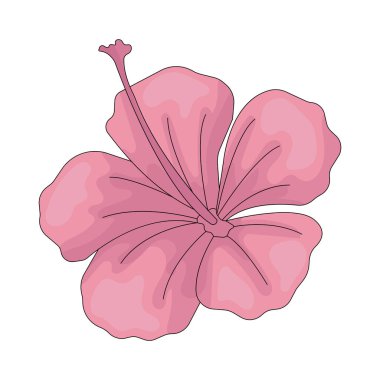 Amberçiçeği, plaj estetiğini geliştiren canlı bir tropikal çiçektir..