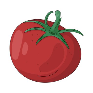 Domates genellikle salatalarda, soslarda ve çeşitli lezzetli yemeklerde kullanılan sulu kırmızı bir meyvedir..