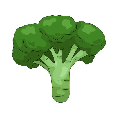 Brokoli vitamin ve lif açısından zengin yeşil bir sebzedir..