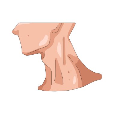 İnsan boynu başı gövdeye bağlar ve hareketi ve esnekliği destekler..