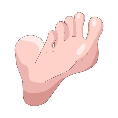 İnsan ayağı vücut ağırlığını taşır ve yürümeyi, koşmayı ve dengeyi sağlar..