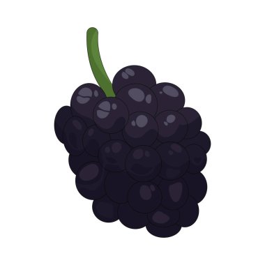 Böğürtlen, tatlı ve hafif turta tadında kümelenmiş çöreklerden oluşan sulu bir kara duttur..