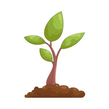 Filizlenme, yeni başlangıçları, potansiyeli ve olumlu gelişimi simgeler..