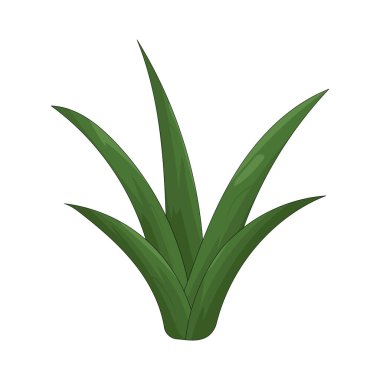 Çimenler, tarlalarda, bahçelerde ve manzaralarda yumuşak zemin örtüsü oluşturan dar yeşil bıçaklardan oluşur..