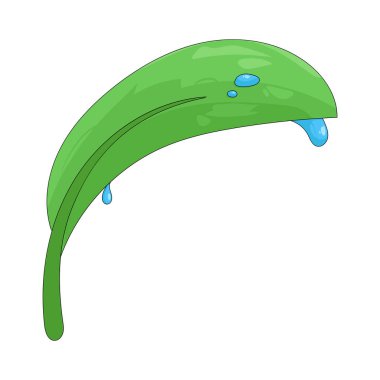 Yaprağın üzerindeki çiy damlası taze ve doğal bir güzelliği temsil eder. Küçük su damlacıkları yüzeyde yavaşça dinlenir..