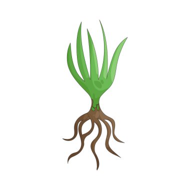 Çimen, tarlalarda ve bahçelerde yetişen, tazeliği, büyümeyi ve doğal güzelliği simgeleyen yumuşak, yeşil bir zemin örtüsüdür..