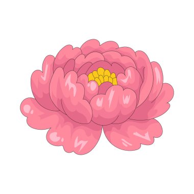 Pembe şakayık çiçekleri, yumuşak taçyapraklarıyla romantizmi ve refahı temsil eder..