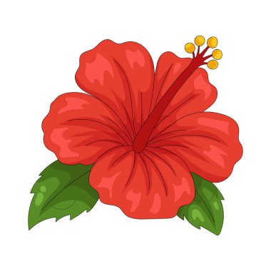 Kırmızı bir amber çiçeği, büyük, göz alıcı çiçeğiyle cesur güzelliği ve tropikal canlılığı simgeler..