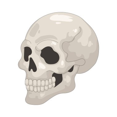 Kafatası ölüm ve tehlikeyi temsil eder. Genellikle soğuk bir Cadılar Bayramı sembolü olarak kullanılır..