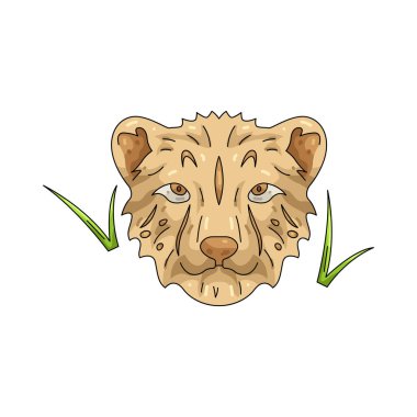 Çita en hızlı kara hayvanıdır. Avını kovalarken inanılmaz hızlara erişebilir..