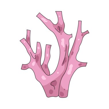 Mercan, çeşitli okyanus yaşamını destekleyen canlı resif yapıları oluşturan bir deniz organizmasıdır..