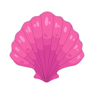 Deniz kabuğu, kıyı şeridi boyunca değerli bulguları temsil eder..