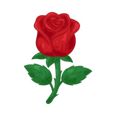 Kırmızı bir gül derin aşkı, tutkuyu ve romantik bağlılığı temsil eder..