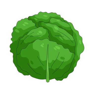 Lahana, salatalarda, çorbalarda ve mayalanmış yemeklerde sımsıkı paketlenmiş yaprakları olan yapraklı bir sebzedir..