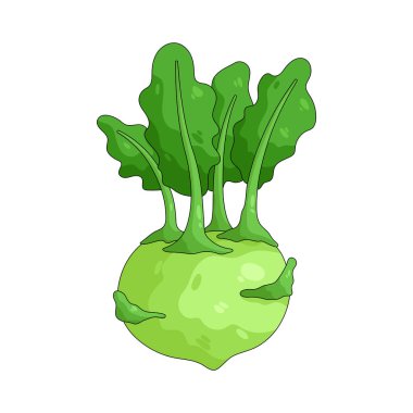 Kohlrabi soğan şeklinde yumuşak, tatlı bir sebzedir, çiğ ya da pişmiş yenir..