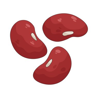 Böbrek fasulyesi kırmızı, protein açısından zengin ve sıklıkla çorba ve güveçte kullanılan bir baklagildir..