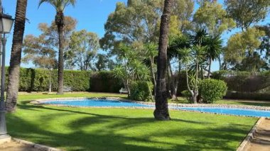 Suni gölet güneşli bahçedeki ağaçlarla çevrili.. 