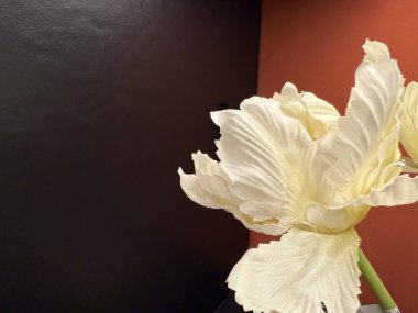 Koyu ve terakotta arka planında desenli taç yaprakları olan zarif beyaz suni çiçek.