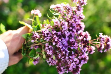 Elma masanın üstünde.