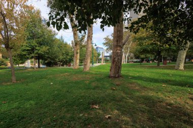 trees in the Taksim Gezi Park and suzer plaza known as gkkafes (sky cage) at the distance background in istanbul
