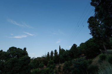 Mavi gökyüzü manzarası, ağaçlar ve kırsal kesimlerdeki elektrik hatları, siluet fotoğraf