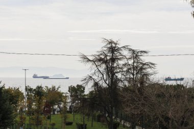 İstanbul 'dan deniz manzarası, Prens' in adası ve gemileri.