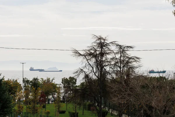 İstanbul 'dan deniz manzarası, Prens' in adası ve gemileri.