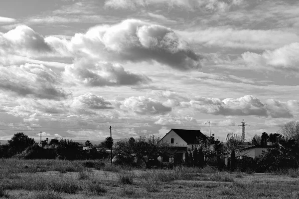 Bulutlu gökyüzü olan bir alanın gri tonlu görüntüsü