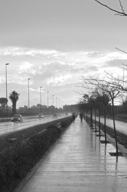 Ağaçları olan boş bir yaya yolu manzarası