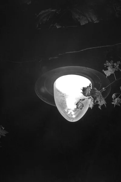 soyut siyah beyaz arkaplan