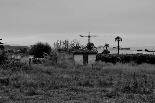 Şehirde terk edilmiş eski bir ev.