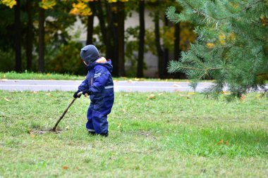 Sonbahar parkında yeşil çimlerde sopayla oynayan çocuk. Mavi takım elbiseli çocuk ağaçların yakınındaki açık havayı keşfeder, öğrenir ve eğlenir..