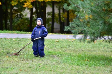 Sıcak mavi tulumlu gülen çocuk, sonbahar parkında dışarıda oynarken elinde sopa tutuyor. Mutlu çocuk ağaçlar ve düşen yapraklar arasında doğayı keşfetmekten hoşlanıyor..
