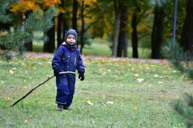 Sıcak mavi tulumlu gülen çocuk, sonbahar parkında dışarıda oynarken elinde sopa tutuyor. Mutlu çocuk ağaçlar ve düşen yapraklar arasında doğayı keşfetmekten hoşlanıyor..