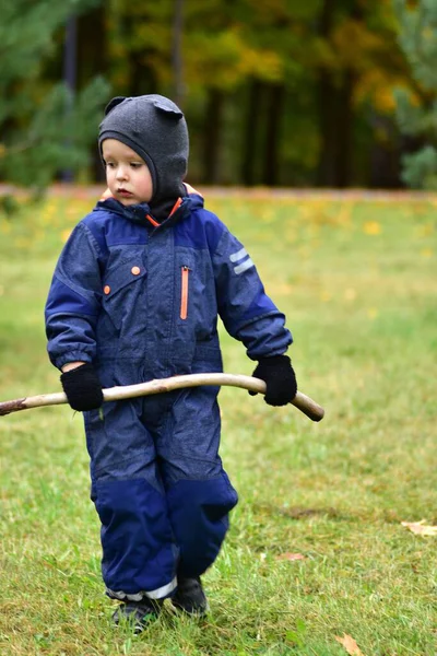Sıcak mavi tulumlu gülen çocuk, sonbahar parkında dışarıda oynarken elinde sopa tutuyor. Mutlu çocuk ağaçlar ve düşen yapraklar arasında doğayı keşfetmekten hoşlanıyor..