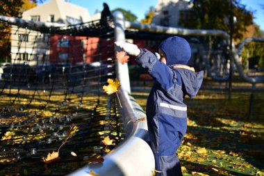 Mavi kar kıyafetli mutlu çocuk, havadaki sarı sonbahar yapraklarını havaya fırlatıyor, güneşli bir sonbahar akşamında neşe ve özgürlüğü kutluyor..