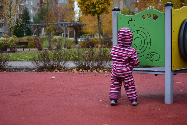 Çizgili bir kar elbisesi içinde, sonbaharda açık hava çocuk parkında eğitim amaçlı bir aktivite duvarını keşfeden bir çocuk. Parlak renkler, yumuşak döşemeler ve devrilen ağaçlar sıcak, günlük bir çocukluk sahnesi yaratır..