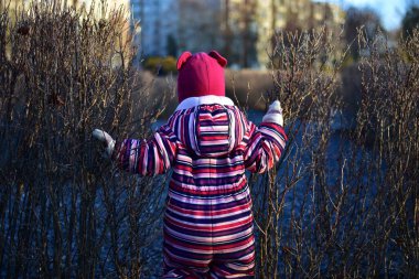 Renkli kışlık takım elbiseli bir çocuk soğuk bir günde dışarıda dikilip çıplak çalılara dokunuyor. Küçük bir kızın kışın şehir ortamında doğayı keşfetmesi.