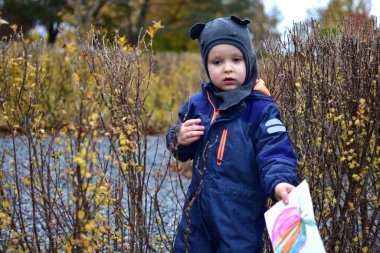 Sonbahar çalılarında dikilirken elinde renkli bir resim tutan küçük bir çocuğun portresi. Parkta üzerinde kalın giysiler olan bir çocuk. Çocukluk yaratıcılığı, masumiyet ve mevsimsel yaşam tarzı kavramı