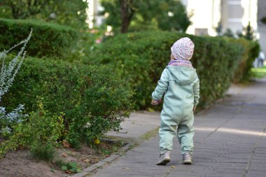 Yeni yürümeye başlayan çocuk, bir yerleşim bölgesinde yeşil çalıların yanında asfalt bir yol boyunca yürüyor. Dışarıda huzurlu bir çocukluk anı, bağımsız yürümeyi öğrenmek ve her gün çevreyi keşfetmek.