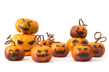 Beyaz bir arka planda neşeli bir grupta düzenlenmiş balkabakları ve balkabakları.