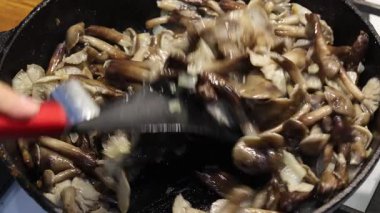 Soğanlı bir tavada kızarmış tatlım agaric