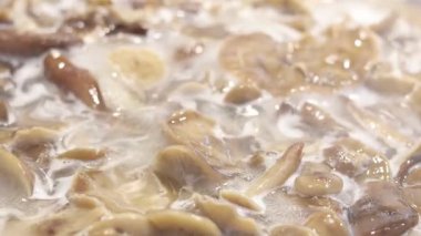 Yaban mantarlı tavuk çorbasına yakın çekim