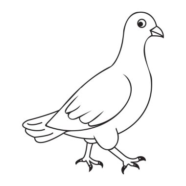 Ayaklarının üzerinde duran, sağa bakan bir güvercinin siyah beyaz çizgisi. Kuş basit çizgilerle tasvir edilir..