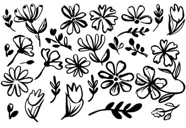 Yaban Çiçeği Mürekkep Çizim Seti. El Çizimi Botanik Çiçek Karalamaları.