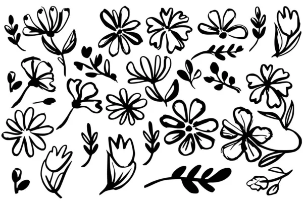 Yaban Çiçeği Mürekkep Çizim Seti. El Çizimi Botanik Çiçek Karalamaları.