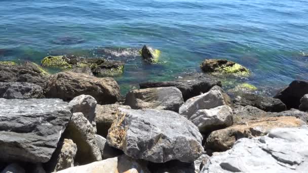 Nyugodt hullámok ütő a sziklák — Stock videók